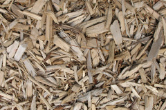 biomass boilers Strone